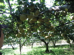 IMG_0883.jpg