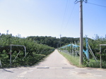 IMG_0983.jpg