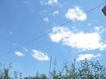 IMG_0985.jpg
